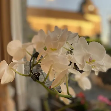 De L'an 1600 Bouillon