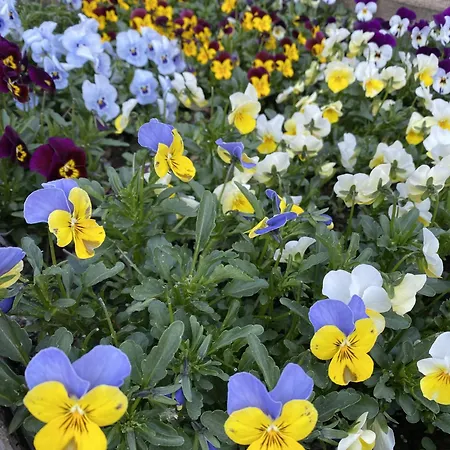 Hotel De L'an 1600 3*