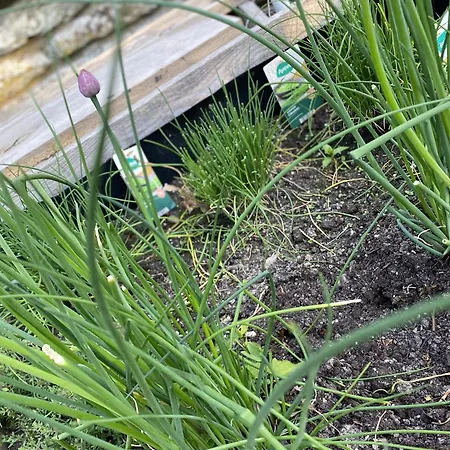 De L'an 1600 Bouillon